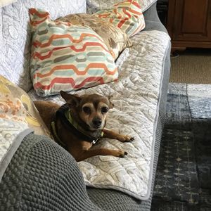 Meet your Posher, Lea